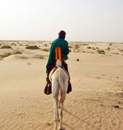 Tuareg on camel (click to enlarge)